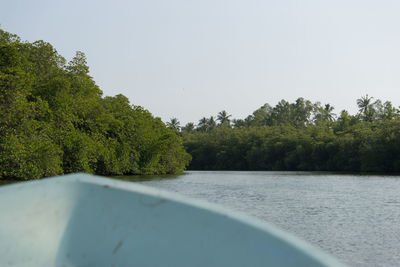 Scenic view of river amidst trees against clear sky