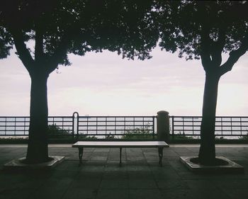 Empty seat amidst trees against sky