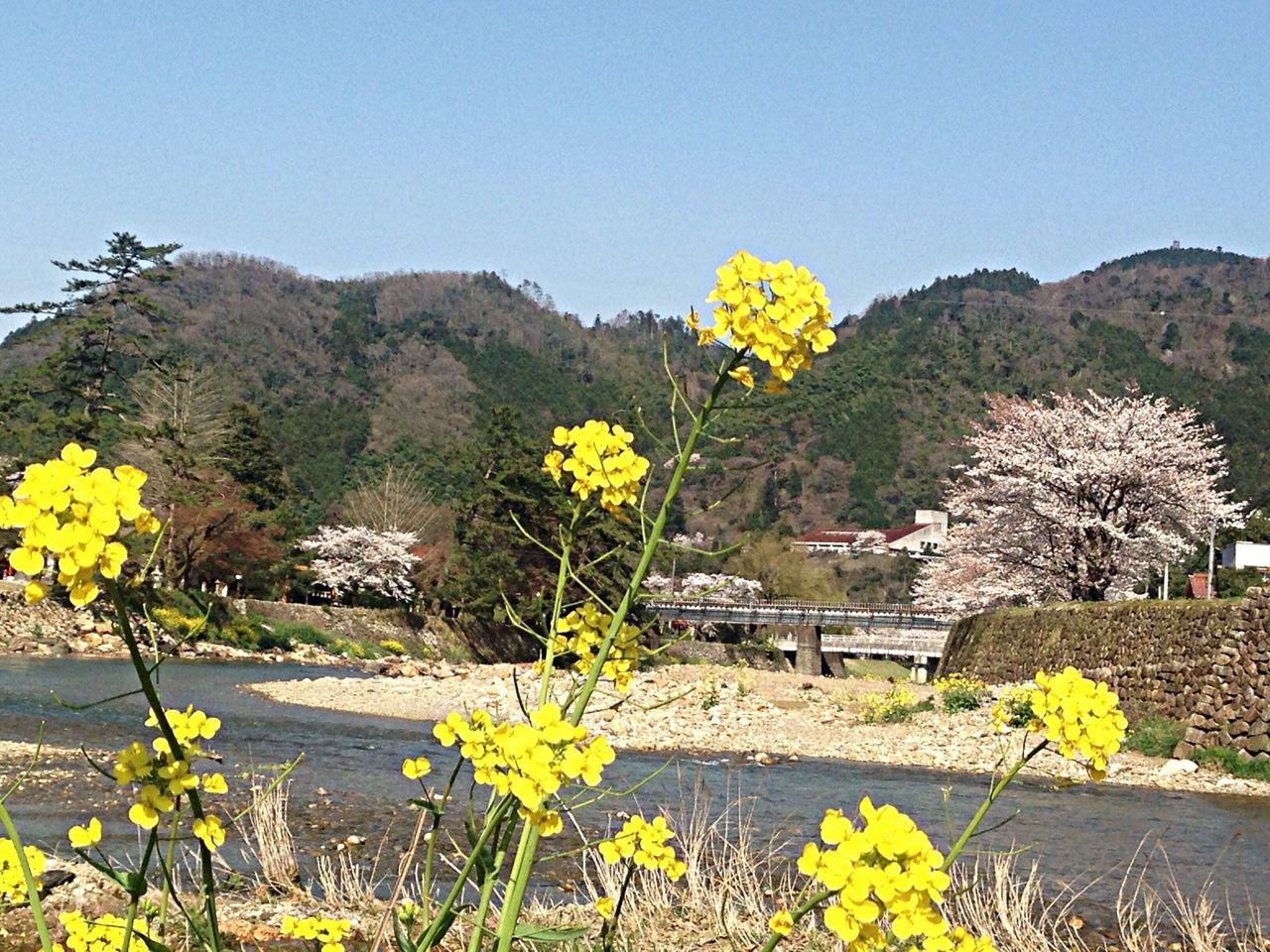 太皷谷稲成神社