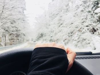 Cropped hand driving car against bare trees during winter
