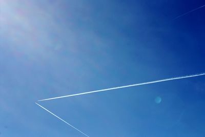 Low angle view of trees against blue sky