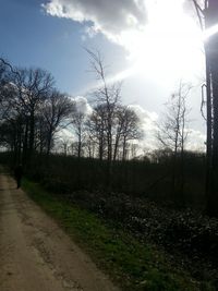 Trees growing on field against sky