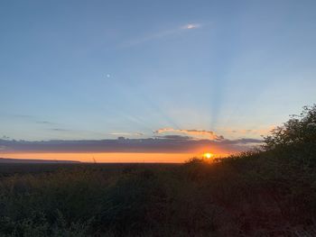 Scenic view of sunset