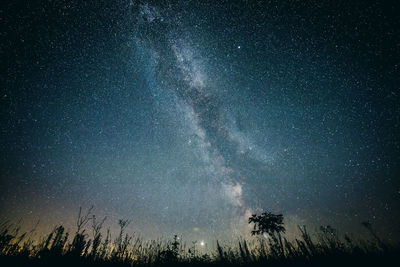 Scenic view of milky way and sky at night