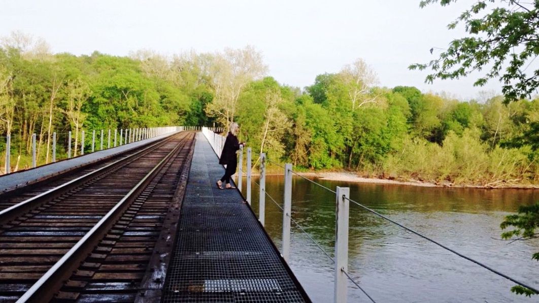 tree, water, rear view, clear sky, lake, lifestyles, tranquility, leisure activity, full length, men, the way forward, nature, reflection, tranquil scene, railing, forest, footbridge, growth