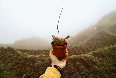 Midsection of person holding plant on landscape