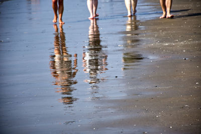 Low section of people walking on wet beach