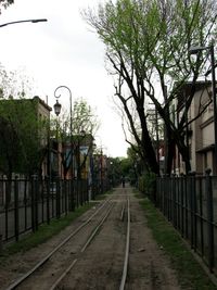 Railroad track amidst trees against sky