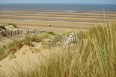 Person at formby beach on sunny day