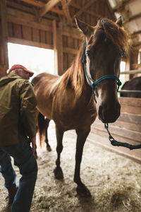 Horses on horse