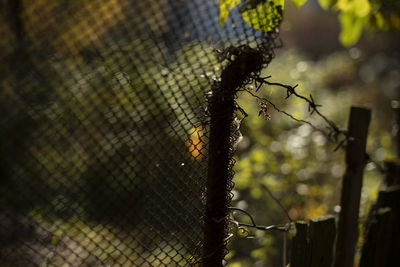 Old fence. rusty steel mesh. fence in garden. details of countryside.