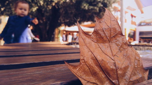 Girl pointing at dry leaf on table