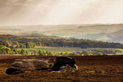 Rocks on field against sky