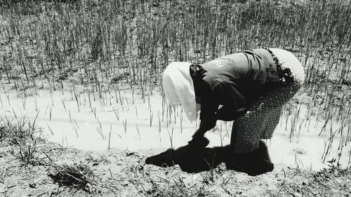 Person working in rice field
