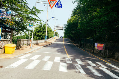 Empty road amidst trees