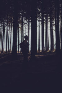 Silhouette man standing by trees in forest