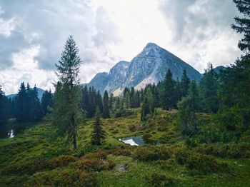 Scenic view of landscape against sky