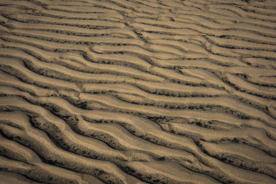 Full frame shot of sand dune