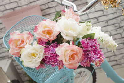 Close-up of pink rose