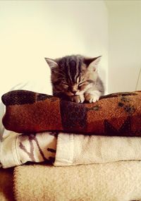 Cat sleeping on bed at home