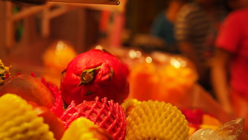 Close-up of red flower