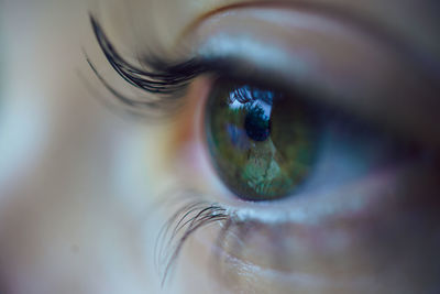 Macro shot of human eye