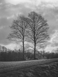 Bare trees on field against sky