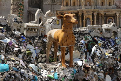 Panoramic view of garbage on built structure