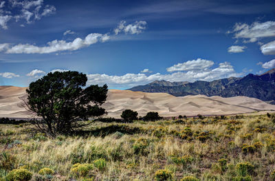 Scenic view of landscape against cloudy sky