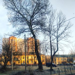 Bare trees against built structure