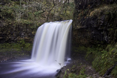 Scenic view of waterfall in forest