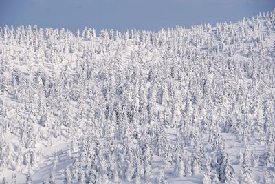 Snow covered land against sky