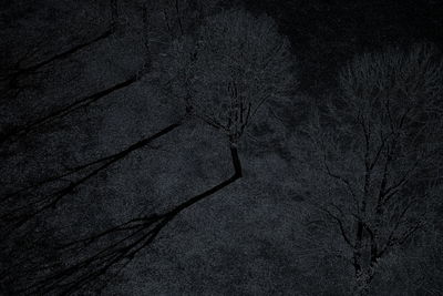 High angle view of bare trees in the dark