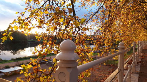 Scenic view of lake against sky during autumn