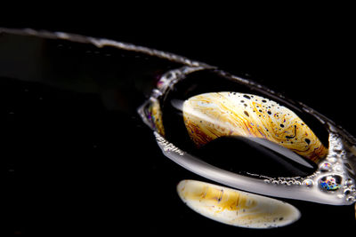 Close-up of coffee cup against black background