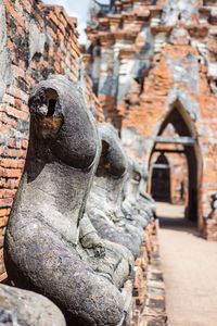 Close-up of buddha statue against historic building