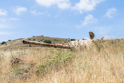 Old ruins on field against sky