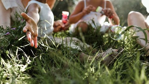 Low section of people sitting on grass