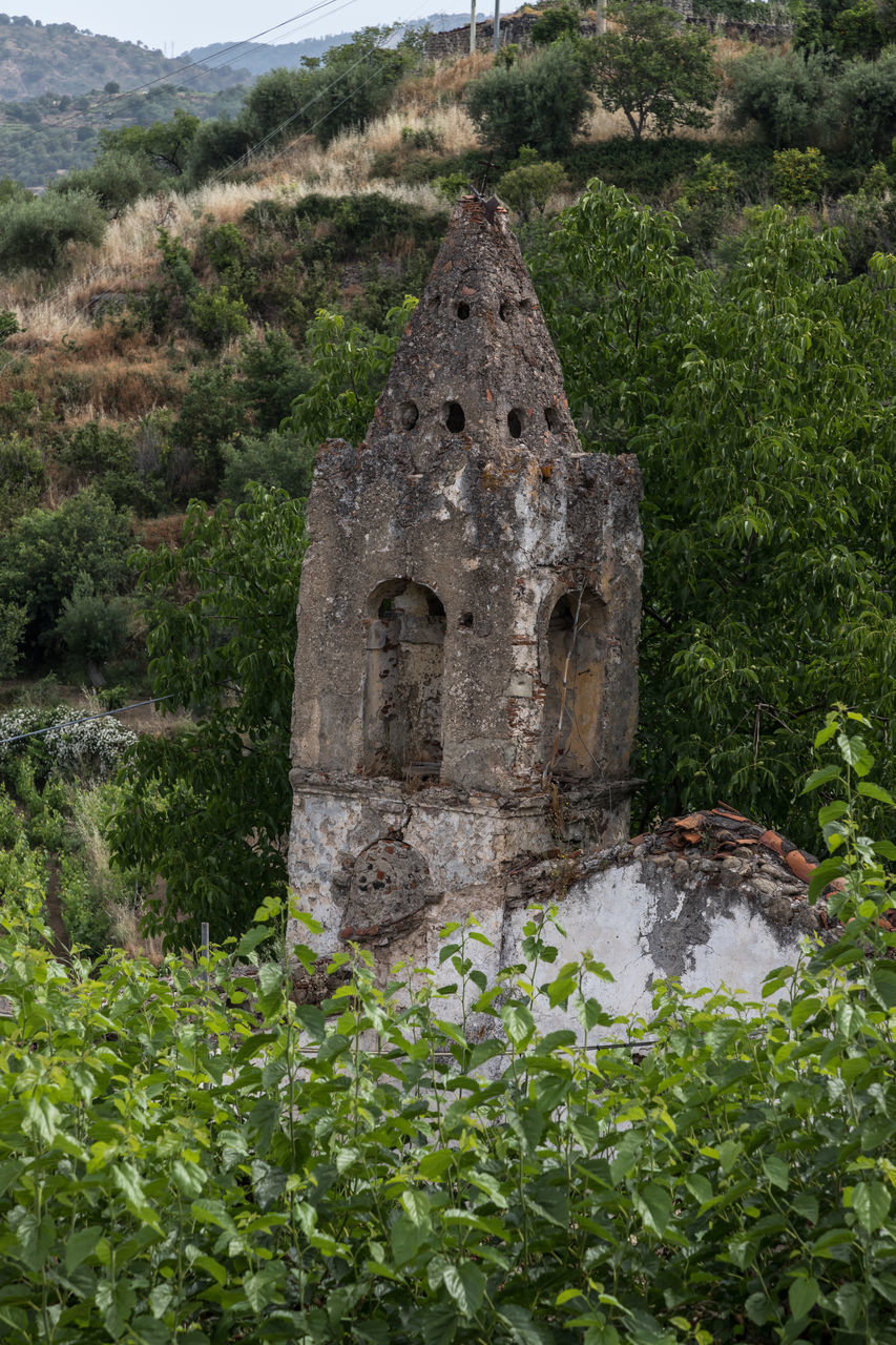 OLD RUIN AMIDST PLANTS ON FIELD AGAINST BUILDING