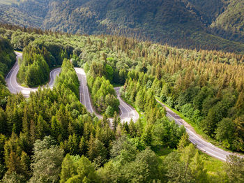 High angle view of winding road amidst trees in forest