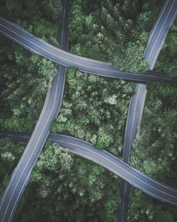 High angle view of bridge in forest