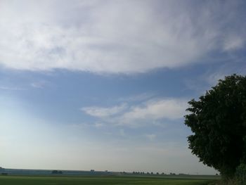 Trees on field against sky