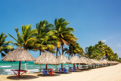 Palm trees and thatched roof parasols at beach against sky