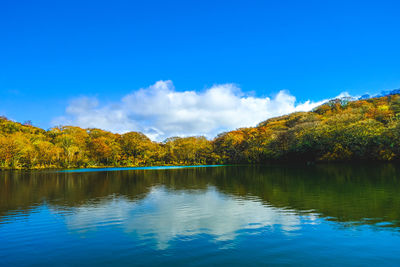 Scenic view of lake by trees against blue sky