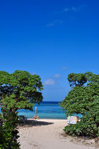 Scenic view of beach against blue sky