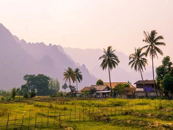 tropical climate