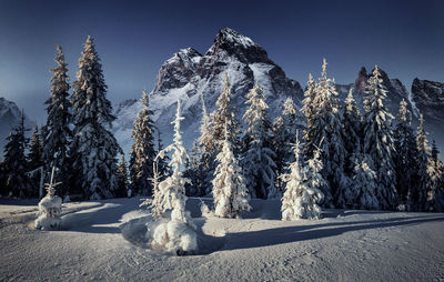 Majestic landscape with forest at winter night time. scenery background.