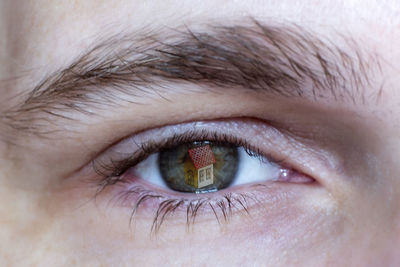 Close-up portrait of human eye