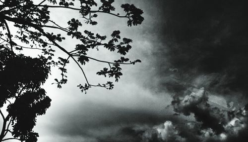 Low angle view of trees against cloudy sky