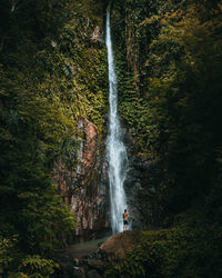 View of waterfall in forest